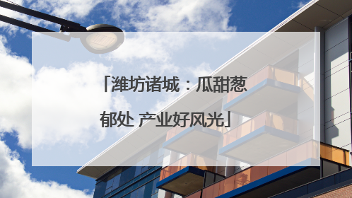 潍坊诸城：瓜甜葱郁处 产业好风光